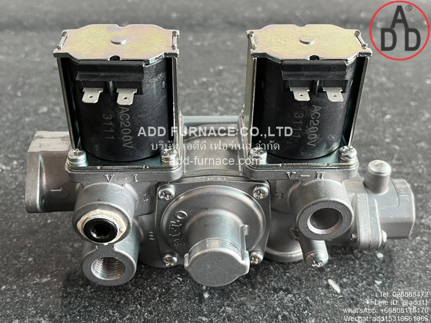 WS-102-100 AC200V (9)